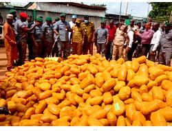 Customs intercepts N5bn ‘Ghana Loud’, other contraband in Ogun