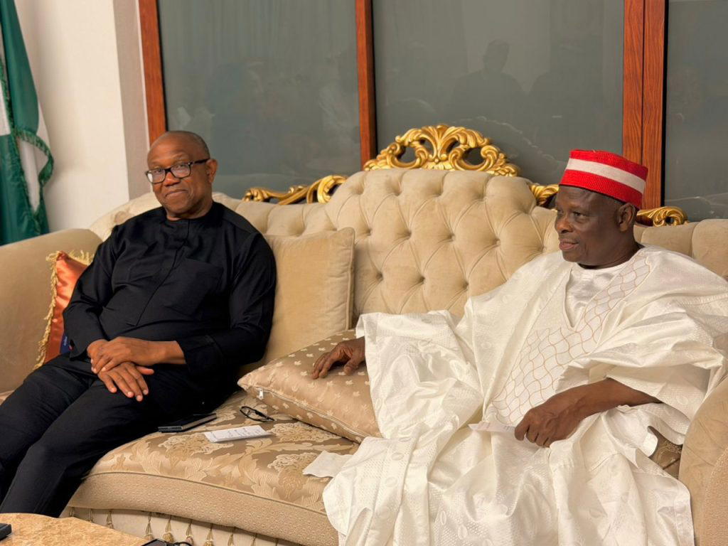 Obi meets Kwankwaso after securing NDC presidential primary clearance