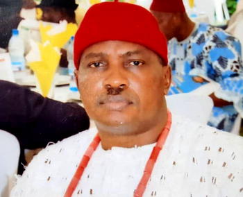 Completion of Anioma State tied to Nwoko’s 2027 return — Oganah