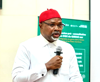 ‘Xenophobic attacks in South Africa constitute infringements on rights of Nigerians’
