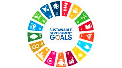 The 2030 SDGs: Beyond the rhetoric of hope 