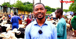 Sallah: Nigerians groan as cost of ram hits N800k, cow N3.2m