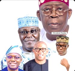 12 contenders, dark horses eye Tinubu’s job