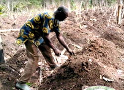 From abundance to scarcity: How climate change is hurting Nigerian farmers