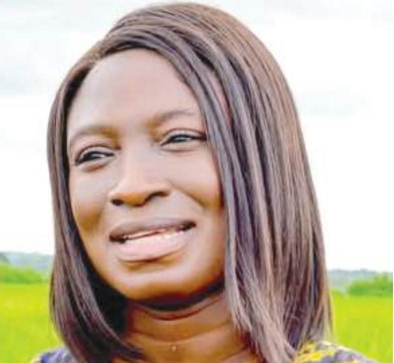 How Gov AbdulRazaq is industrialising subsistence livestock production — Oloruntoyosi