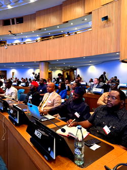 Uwakwe, Chukwuegu Represent Imo at UN ARFSD 12th Summit in Ethiopia as Governor Uzodimma earns praise