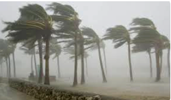 Windstorm kills businesswoman, destroys homes, roads in Benue community