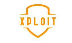 U.S.-based Nigerian tech talent aims to protect global workflows with XPLOIT