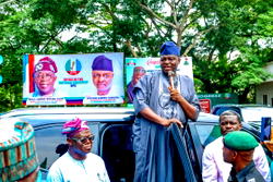 APC knock-out day: 30 govs, 88 senators, 242 reps, 2,620 others know fate today