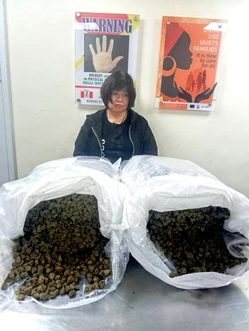 63-yr-old Chinese grandma arrested as NDLEA busts drug trafficking network