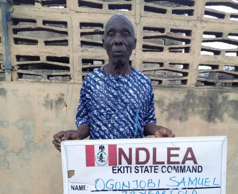 Elderly men detained for alleged narcotics smuggling in Abia and Ekiti states