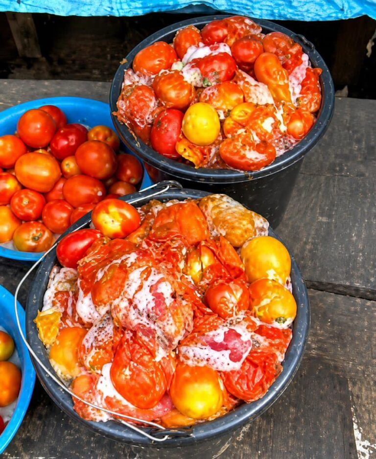 Aproko doctor warns Nigerians against consumption of rotten tomatoes
