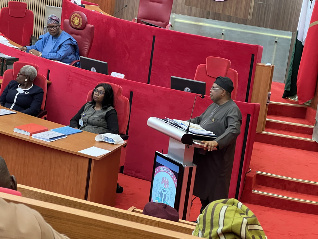 I never promised to fix power grid in three months — Tegbe