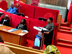 I never promised to fix power grid in three months — Tegbe