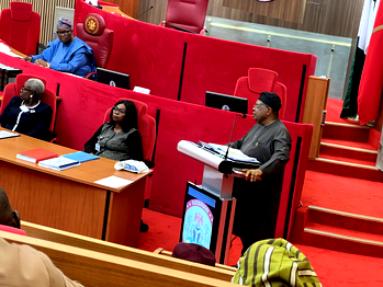 I never promised to fix power grid in three months — Tegbe