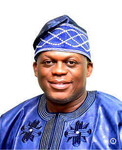 CPN moves to sanitise Nigeria’s IT sector, declares unlicensed computing practice illegal