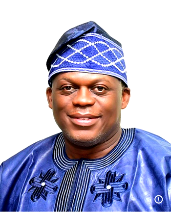 CPN moves to sanitise Nigeria’s IT sector, declares unlicensed computing practice illegal