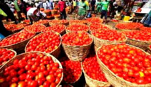 Sallah: Residents Lament Rising Tomato Prices In Lagos Markets