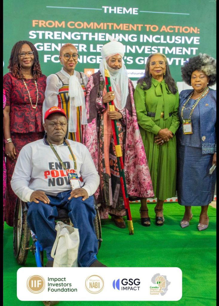 inc-733x1024 Only $1.25bn deployed as Nigeria battles $6.75bn inclusive finance gap