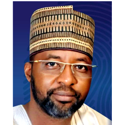 2027: Maidoya offers to step down for Tinubu, calls for APC unity