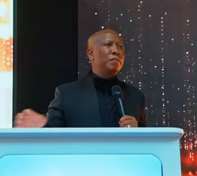 Xenophobia: “How many jobs have you created after attacks?” — Malema to South Africans
