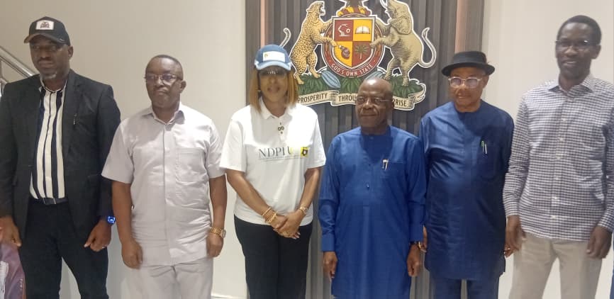 ELECTRICITY: NDPHC restores 450MW Alaoji plant after three-year shutdown