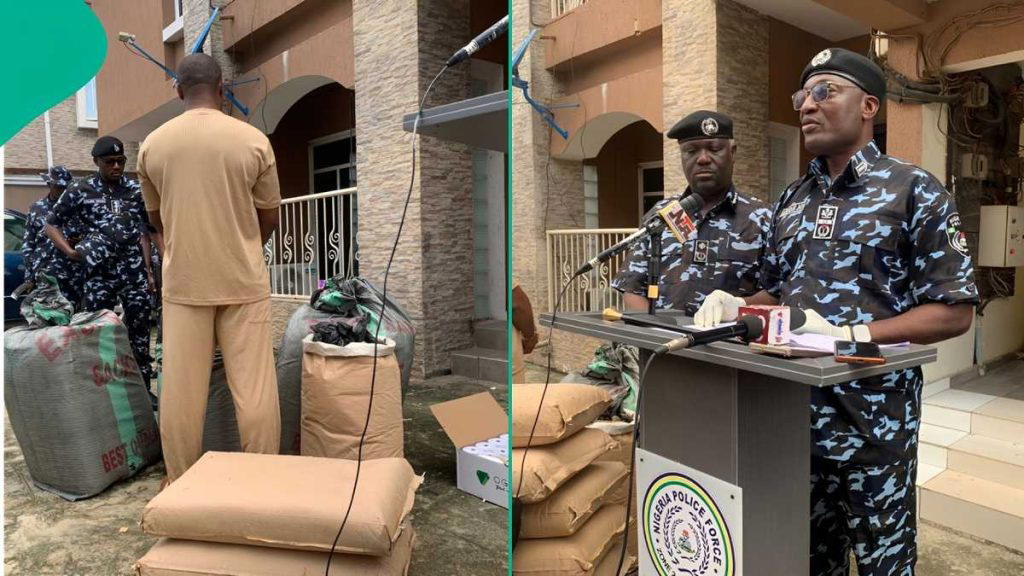 Police reject ₦500m bribe, seize suspected Canadian Loud worth ₦7.8bn