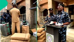 Police reject ₦500m bribe, seize suspected Canadian Loud worth ₦7.8bn