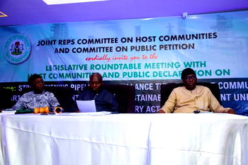 Reps panel, N/Delta stakeholders back Tantita, reject decentralisation