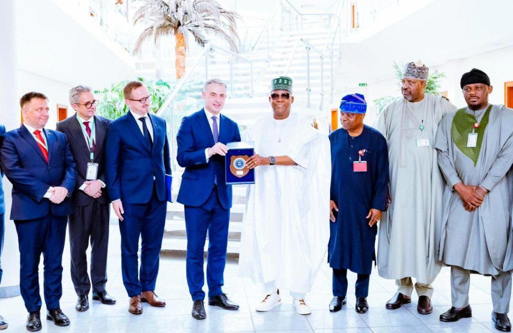 Nigeria, Poland explore strategic partnership on digital economy, defence, others