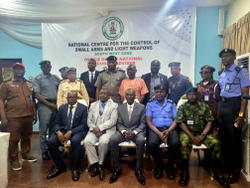Experts cite illicit arms, urge overhaul of post-judgment weapon management