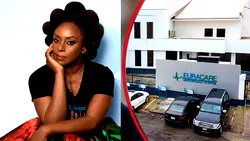Court halts Coroner’s inquest into death of Chimamanda’s son