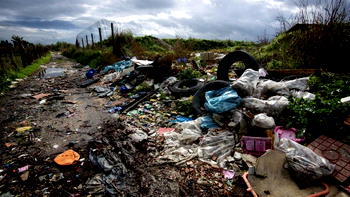 Eight sentenced to community service over illegal waste dumping