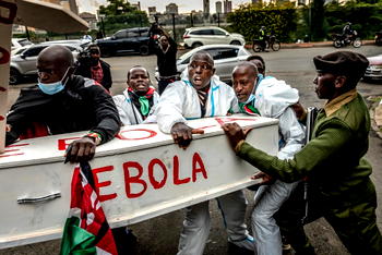 WHO reports sharp drop in suspected Ebola cases from 906 to 116