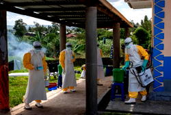Nearly 500 confirmed cases in Central Africa Ebola outbreak – WHO