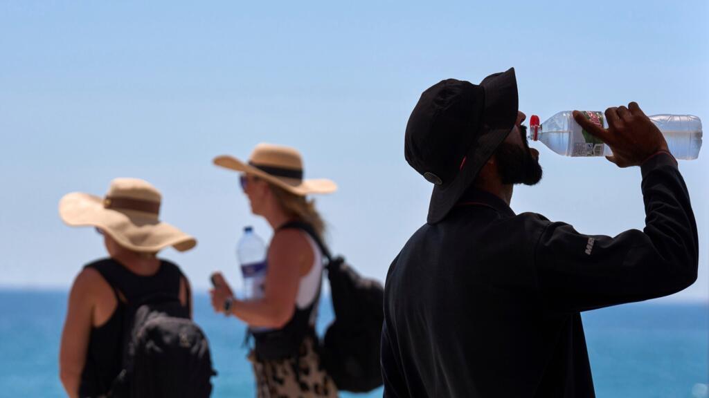 More than 1,300 excess deaths recorded in Europe heatwave – WHO
