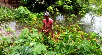 ACA, EVF, community activist appeal Milan Court judgement dismissing Aggah flooding lawsuit