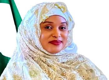 30 Days: We’ve taken position in Nigeria’s aviation industry – BINANI 