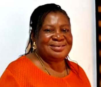 Assa North electricity project awarded by Renaissance Africa Energy, says BOT chairperson