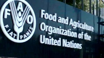 FG, FAO combat bird flu in Nigeria with fresh $350,000 project