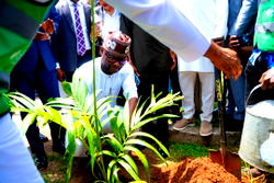 World Environment Day: Okpebholo encourages tree planting to cushion climate change