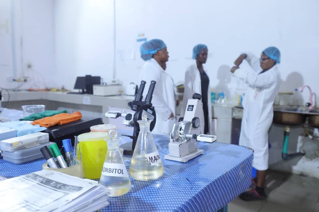 How Sorbitol production can unlock cassava’s industrial value