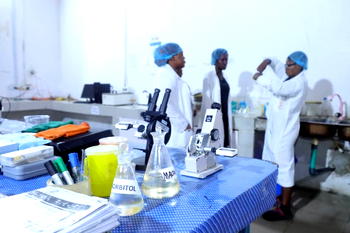 How Sorbitol production can unlock cassava’s industrial value