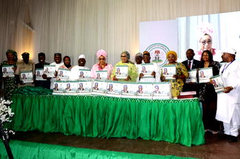 FG unveils 560-page audit on constituency projects