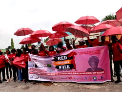 Sickle Cell Day: Stakeholders seek improved care, curative research funding