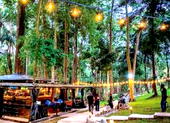From hills to springs: An unforgettable Ikogosi experience