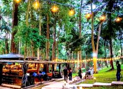 From hills to springs: An unforgettable Ikogosi experience