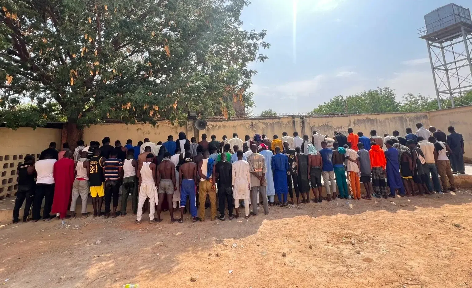 NDLEA raids Kano hotspots, arrests 73, seizes 'suck and die', others