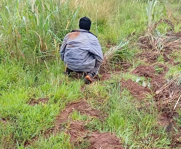 Five years after COVID, open defecation returns with vengeance in Cross River