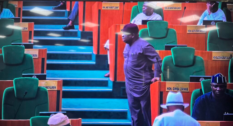Just in: Minority leadership tussle disrupts Reps plenary